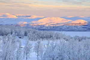 Northern Sweden Prints: Panoramic of sunrise on the snowy landscape, Bjorkliden, Abisko, Kiruna Municipality
