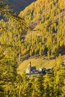 Autumnal Colours Prints: Panoramic vew of the alpine church of Madonna di Senales in autumn. Senales valley