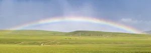Steppe Prints: Panoramic view of a rainbow over the green Mongolian steppe. Ovorkhangai province