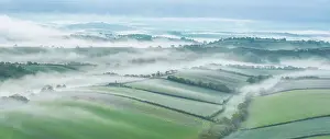 Devon Prints: Panoramic vista of rolling Devonshire countryside at dawn