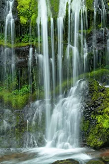 Environment Prints: Panther Creek Falls, Washington, USA