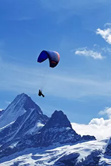 Images Dated 9th May 2014: Paragliding, Schreckhorn, Grindelwald, Bernese Oberland, Switzerland