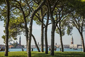 Images Dated 3rd October 2016: Parco delle Rimembranze, Sant Elena, Venice, Italy