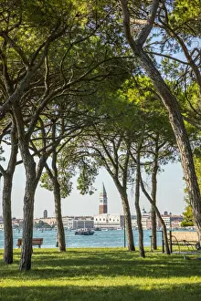 Castello Prints: Parco delle Rimembranze, Sant Elena, Venice, Italy
