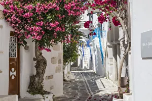 Images Dated 19th June 2019: Parikia, Paros, Cyclade Islands, Greece