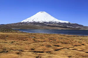 Andes Collection: Parinacota Volcano and Chungara Lake in Lauca National Park, Arica & Parinacota Region