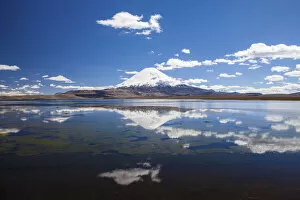 Chilean Collection: Parinacota Volcano reflected in Chungara Lake in Lauca National Park