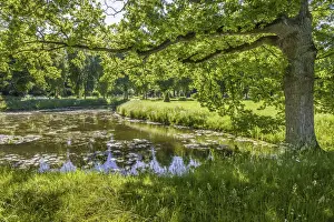 Castle Park Prints: Park of Bothmer Castle in Kluetz, Mecklenburg-Western Pomerania, Northern Germany, Germany