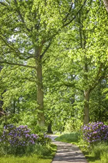 The Baltic Sea Prints: Park of Bothmer Castle in Klütz