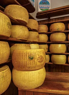 Parmigiano Reggiano, Parmesan cheese, Bologna, Emilia-Romagna, Italy