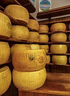 Images Dated 15th July 2019: Parmigiano Reggiano, Parmesan cheese, Bologna, Emilia-Romagna, Italy