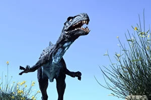 Images Dated 10th December 2012: Parque Cretacio, Cal Orck o, T-Rex Dinosaur, Largest Set Of Dinosaur Tracks In