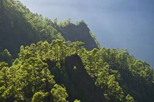 Images Dated 4th March 2014: Parque Nacional de la Caldera de Taburiente, Mirador de Las Chozas, La Palma, Canaries