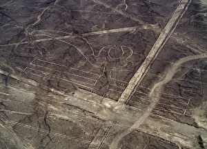 Ica Region Prints: The Parrot Geoglyph, aerial view, Nazca, Ica Region, Peru