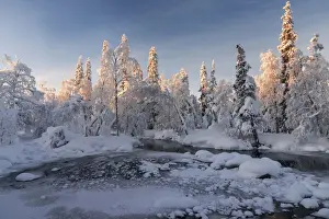 Riisitunturi Prints: Partly frozen river in Akasmylly, Yllastunturi National Park, Lapland, Finland