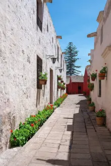 La Ciudad Blanca Prints: Passageway Calle Cordoba with plants at Monastery of Santa Catalina de Siena