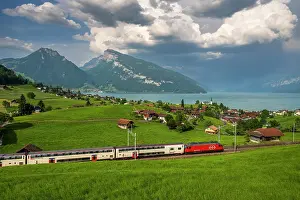 Thun Prints: Passenger train passing near Lake Thun, Spiez, Canton of Bern, Switzerland