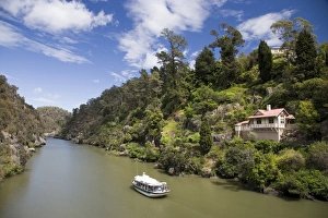 Ferry Prints: Passnger ferry on Cateract Gorge