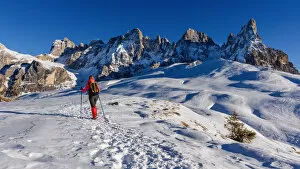 Passo Rolle, Pale di San Martino mountain, Trentino Alto Adige region, Dolomites Alps