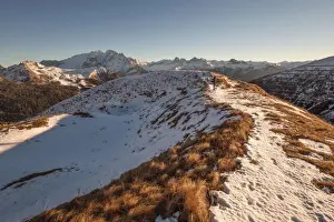 Trento Prints: Passo Sella, Trento Province, Trentino - Alto Adige, Italy, Europe