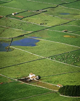 Volcanic Islands Prints: Pasture fields at Vale da Achada. Terceira, Azores islands, Portugal