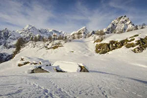 Alpinism Prints: Pasture submerged by the snow (Devero, Ossola, Piedmont)