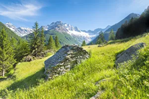 Pastures of Ca Novi, Valmalenco, Valtellina, province of Sondrio, Lombardy, Italian alps