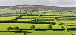 Hedges Prints: Patchwork rolling countryside below Dunkery Beacon, Exmoor, Somerset, England. Spring