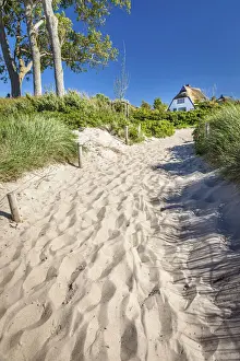 Ahrenshoop Prints: Path to the beach in Ahrenshoop, Mecklenburg-Western Pomerania, Northern Germany, Germany