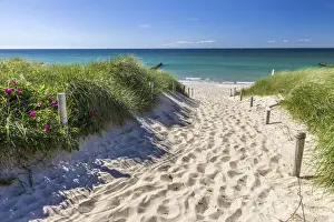Path to the beach in Ahrenshoop, Mecklenburg-Western Pomerania, Northern Germany, Germany