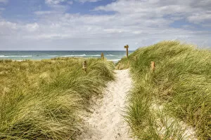 Dunes Gallery: Path to the beach at Darsser Ort, Mecklenburg-Western Pomerania, Northern Germany
