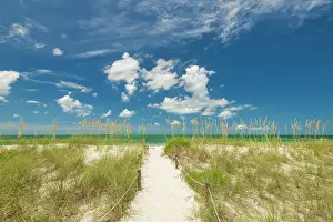 Pathway Prints: Path to Boca Grande Beach, Gasparilla Island State Park, Florida, USA