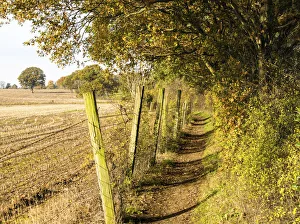 A path in Darlands Nature Reserve, Borough of Barnet, London, England A path in Darlands Nature Reserve, Borough of Barnet, London, England