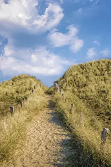 Elbow Prints: Path across the dune to the beach in the Ellenbogen nature reserve near List, Sylt