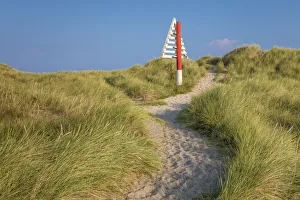 Elbow Prints: Path to the dune in the Ellenbogen nature reserve, Sylt, Schleswig-Holstein, Germany
