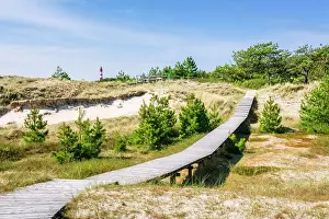 Amrum Prints: Path in dunes, Amrum island, National Park Schleswig-Holsteinisches Wattenmeer