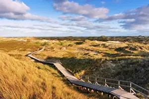 Amrum Prints: Path in dunes, Amrum island, National Park Schleswig-Holsteinisches Wattenmeer