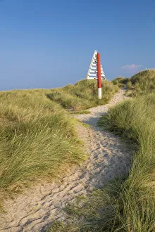 Elbow Prints: Path in the dunes in the Ellenbogen nature reserve near List, Sylt, Schleswig-Holstein
