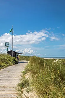 North Beach Prints: Path through the dunes to the north beach of Spiekeroog