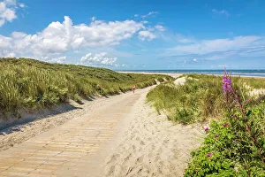 North Beach Prints: Path through the dunes to the north beach of Spiekeroog