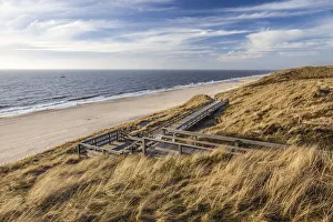 Red Cliff Prints: Path through the dunes Red Cliff near Wenningstedt, Sylt, Schleswig-Holstein, Germany