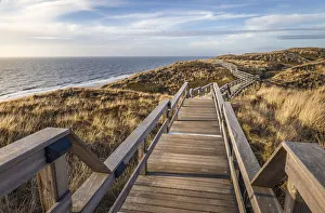 Path through the dunes Red Cliff near Wenningstedt, Sylt, Schleswig-Holstein, Germany