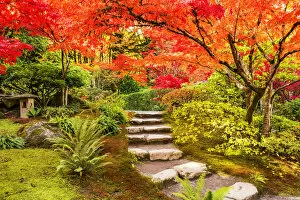 Path Through Japanese Garden in Autumn, Seattle, Washington, USA