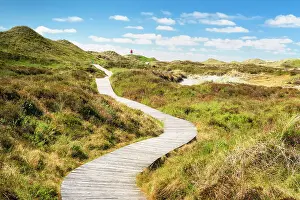 Amrum Prints: Path to the lighthouse, Amrum island
