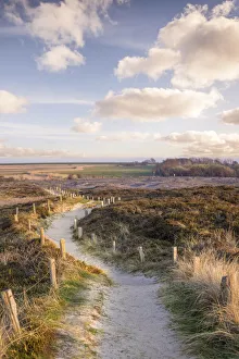 Steppe Prints: Path through the nature reserve Morsum-Kliff, Sylt, Schleswig-Holstein, Germany