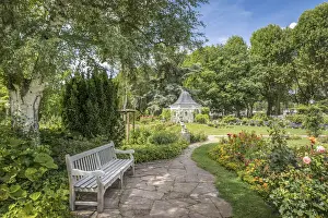 Bench Prints: Path through the rose garden of Zweibrucken, Rhineland-Palatinate, Germany