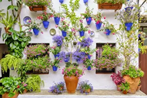 Patio (courtyard) full of flowers and freshness of the Asociacion de Amigos de los Patios Cordobeses, San Basilio district. A UNESCO Intangible Cultural Heritage of Humanity. Cordoba, Andalucia. Spain