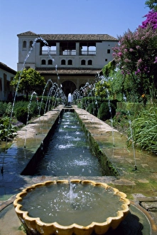 Spray Prints: Patio de la Azequia of the Generalife palace of the Alhambra