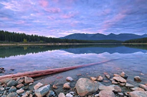 Images Dated 3rd May 2023: Patricia Lake and the Trident Range, Driftwood or log, Jasper National Park, Alberta, Canada