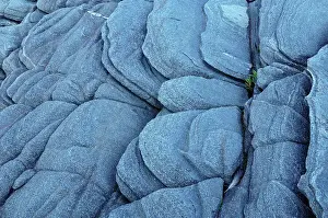 Georgian Bay Great Lakes Prints: Pattern on precambiran shield rock Killbear Provincial Park, Ontario, Canada
